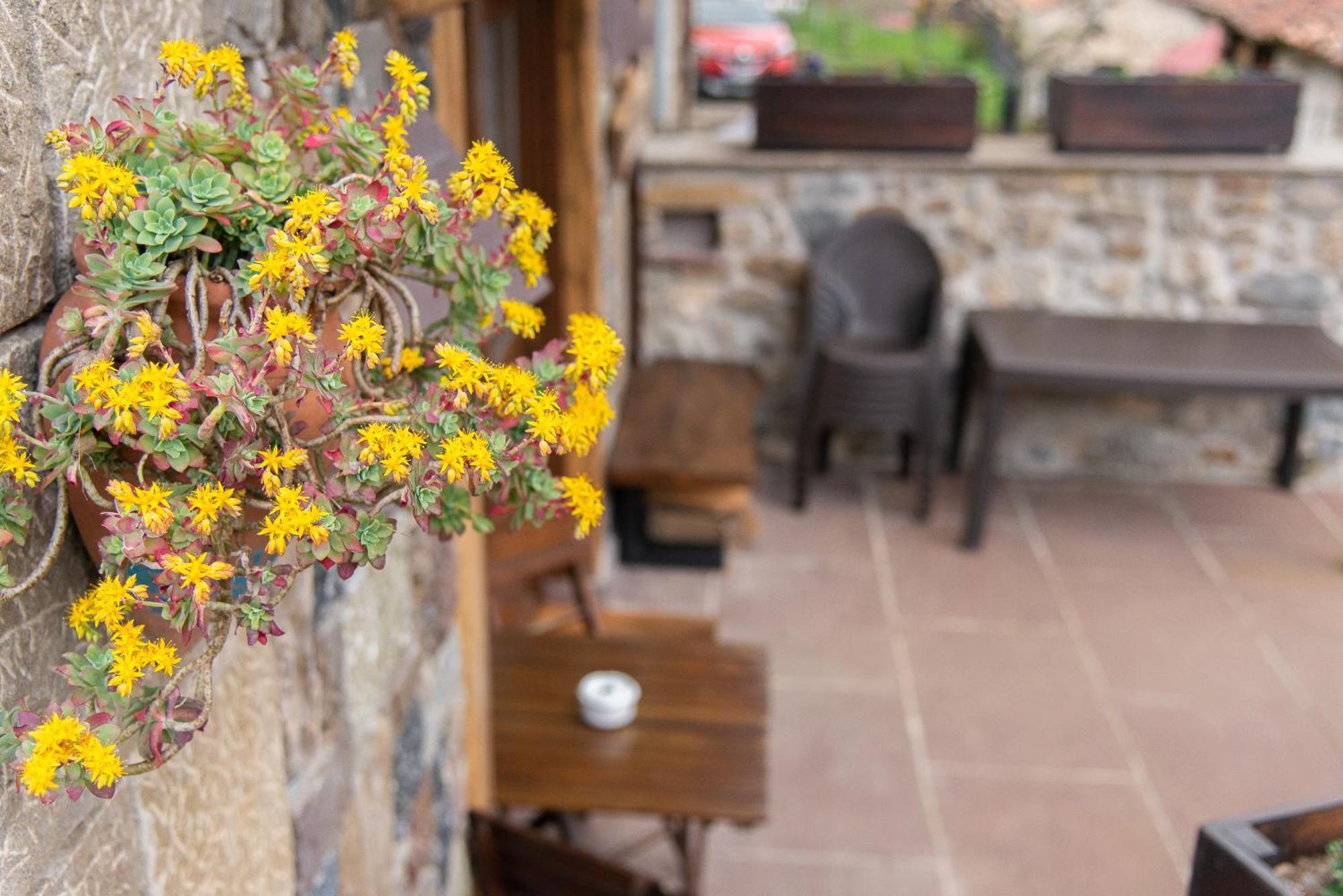 Casa Vacacional La Pedrera Βίλα Baro  Εξωτερικό φωτογραφία
